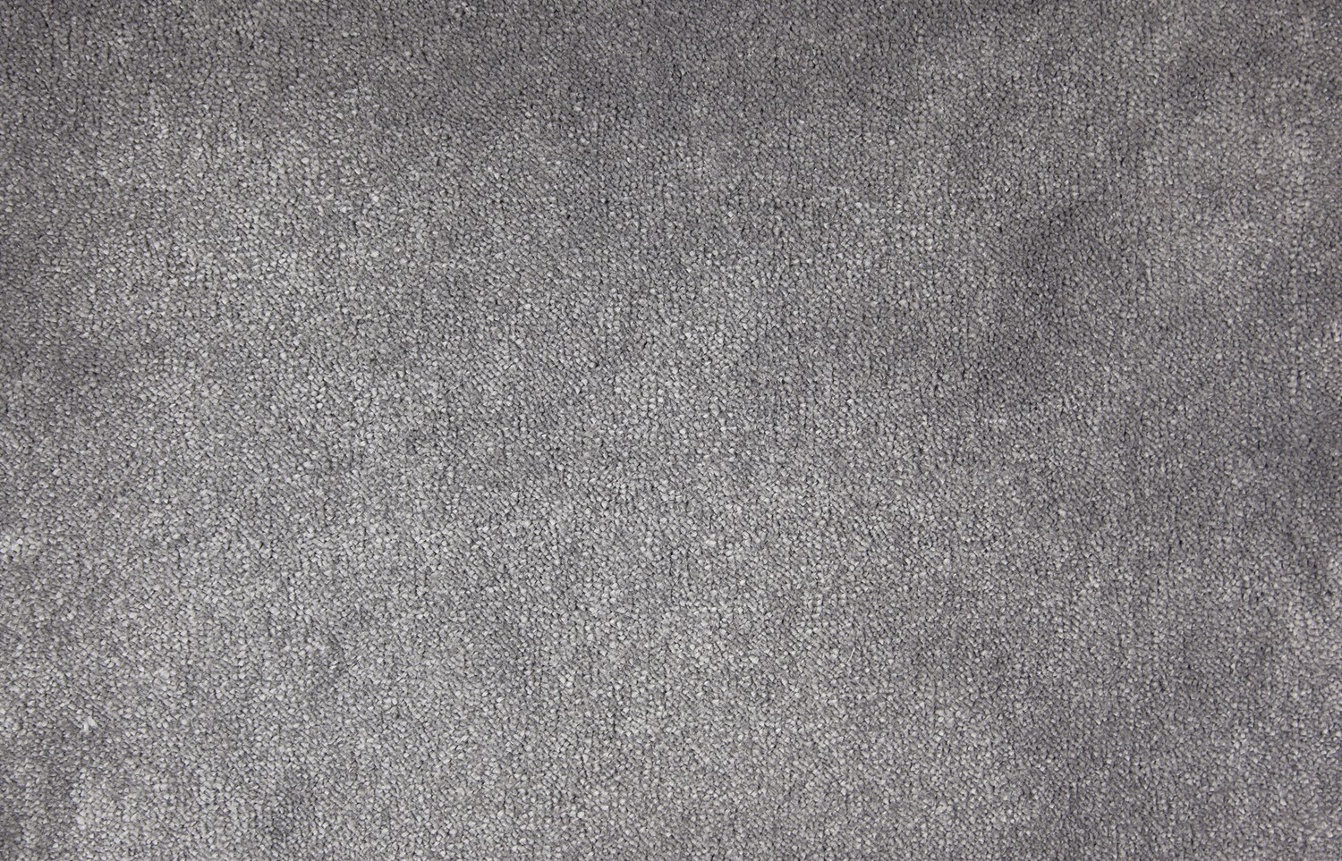 Divine Gulvtæppe grå 400, 500 cm -